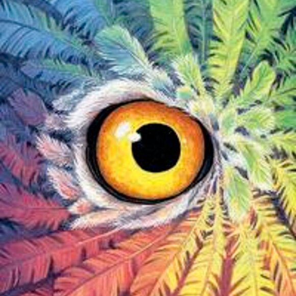 Tarot of the Owls Mini Deck, beginner deck, guidebook - Picture 5 of 5